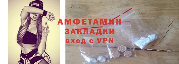 индика Новокубанск