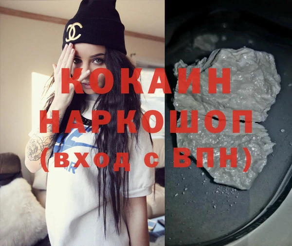 индика Новокубанск
