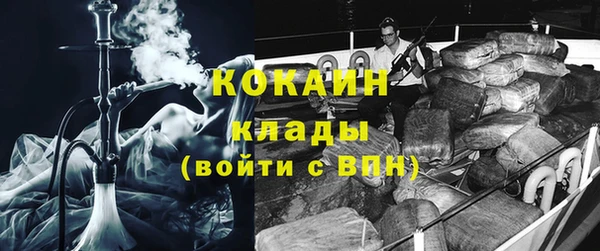 индика Новокубанск