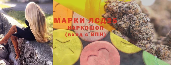 ECSTASY Новозыбков