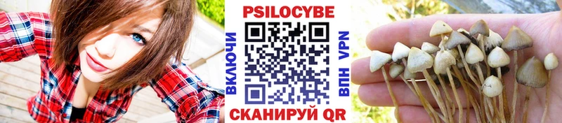 Галлюциногенные грибы Psilocybine cubensis что такое наркотик Ак-Довурак